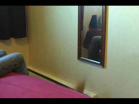 Cat Attacks Mirror